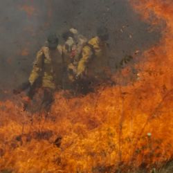 Incêndios no Brasil: Mais de 11 milhões de pessoas podem ter sido afetadas