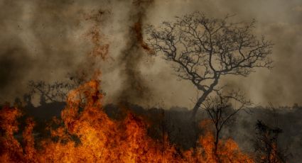 Brasil em chamas: Senadores apresentam projetos para agravar punições em crimes de incêndio