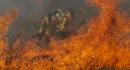 Incêndios no Brasil: Mais de 11 milhões de pessoas podem ter sido afetadas