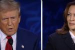 Humilhado em rede nacional, Trump desiste de novo debate com Kamala