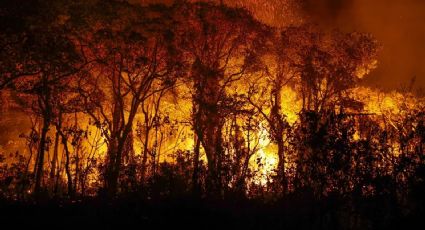 Flávio Dino determina regime de emergência climática para combater incêndios