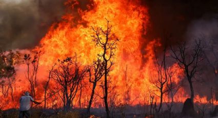 Consumido por chamas: incêndio no Parque Nacional de Brasília pode ter sido criminoso, diz PF