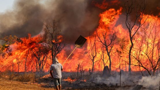 Em 24h, Brasil registra quase 1.800 focos de incêndio; Lula se reúne com ministros