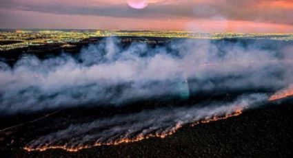 Polícia prende criminosos que provocaram incêndios em áreas protegidas no DF e RJ