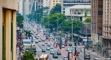 Microplásticos: estudo inédito revela presença de material no cérebro de pessoas que vivem em SP