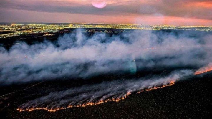 Polícia prende criminosos que provocaram incêndios em áreas protegidas no DF e RJ