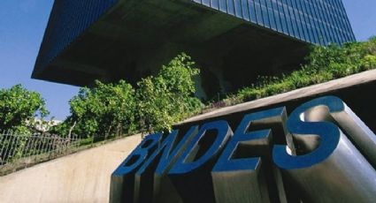 Queimadas: BNDES lança programa para financiar reflorestamento e gerar empregos