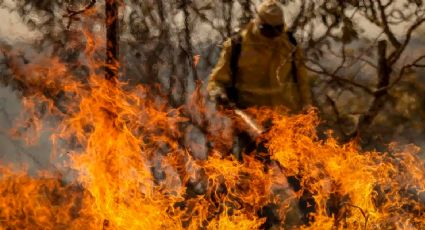 Como estão sendo investigados os incêndios criminosos pelo Brasil