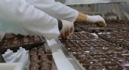 Brasil vai se tornar o maior produtor de um dos chocolates mais famosos do mundo