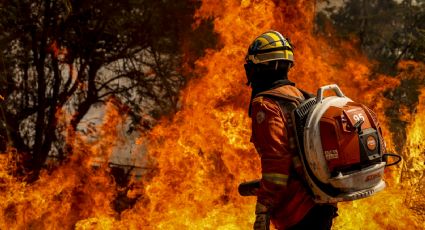 Pelo menos 221 pessoas já foram detidas por incêndios criminosos no país