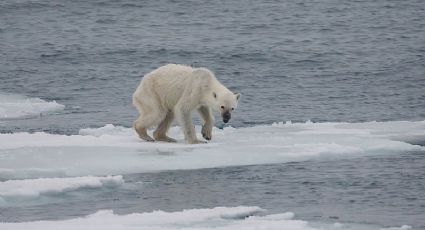 Como a Europa pretende usar geoengenharia para diminuir a temperatura da Terra