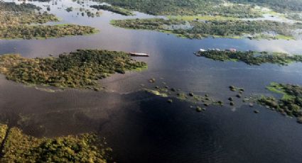 Mercado do clima: Venda de crédito de carbono da Amazônia gera negócio bilionário