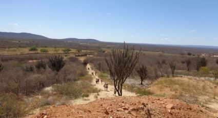 B-R-Ó BRÓ: O que é o fenômeno climático que castiga Nordeste com seca e calor extremo