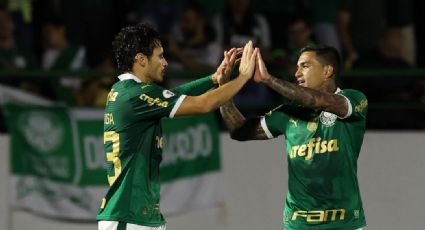 Palmeiras encostou de vez. Vai ultrapassar o Botafogo, como no ano passado?