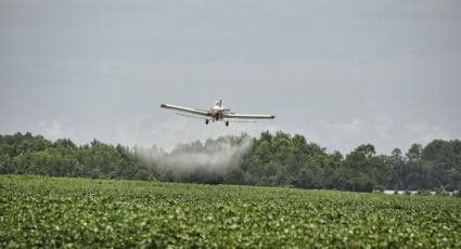 EXCLUSIVO: A guerra química que acontece nos interiores do Brasil