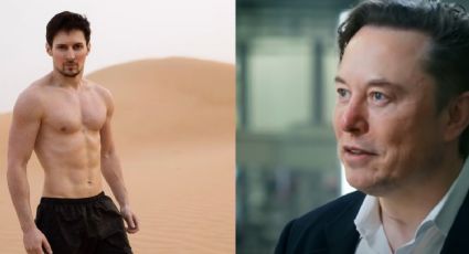 Elon Musk e a teoria da República de “machos de alta testosterona" e sem mulheres