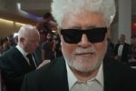 VÍDEO: Almodóvar diz que seu novo filme "é uma resposta ao discurso de ódio"