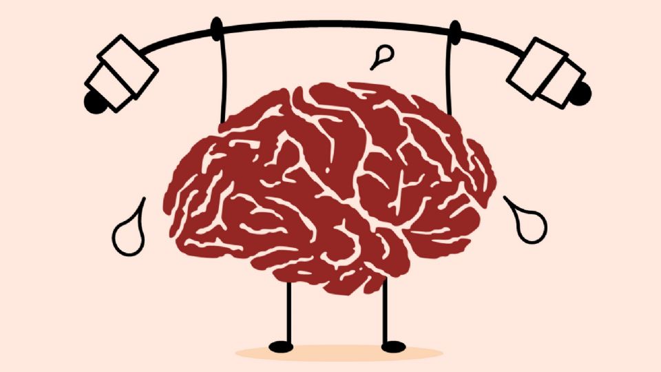 Exercícios para o seu cérebro