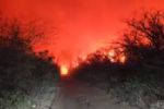 Incêndio de grandes proporções no Paraguai teria sido provocado por ruralista brasileiro