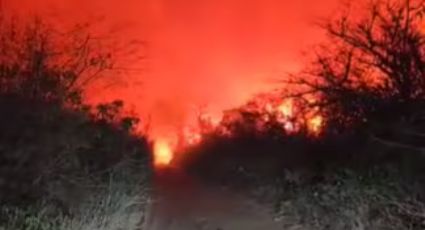 Incêndio de grandes proporções no Paraguai teria sido provocado por ruralista brasileiro