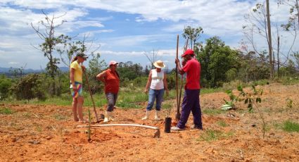 Milícias da especulação imobiliária estariam por trás de massacre em assentamento do MST