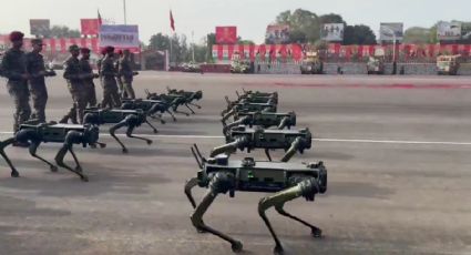 VÍDEO: Potência nuclear exibe tropa de cães-robô em parada militar