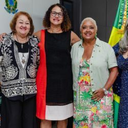 Ministra recebe deputada federal para tratar de assuntos referentes à enfermagem