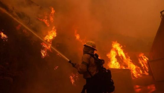 Incêndios em Los Angeles: o negacionismo e a exploração da tragédia por Trump e Elon Musk