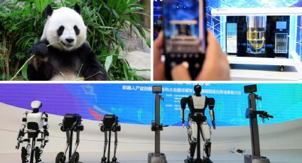 De pandas a robôs e IA: conheça um lugar na China que remodelou sua vocação