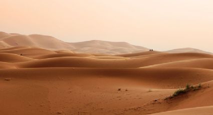 Maior deserto do mundo já foi verde e era lar de dinossauros caçadores e peixes gigantes, diz estudo