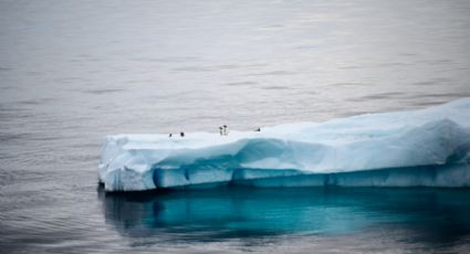 Maior iceberg do mundo está em rota de colisão com ilha britânica, diz observatório