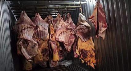 Justiça decreta prisão preventiva de grupo acusado de vender 800 toneladas de carne imprópria