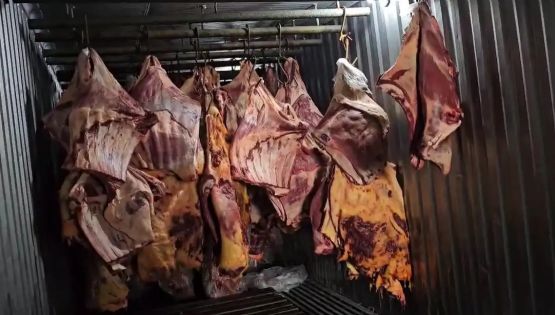 Justiça decreta prisão preventiva de grupo acusado de vender 800 toneladas de carne imprópria