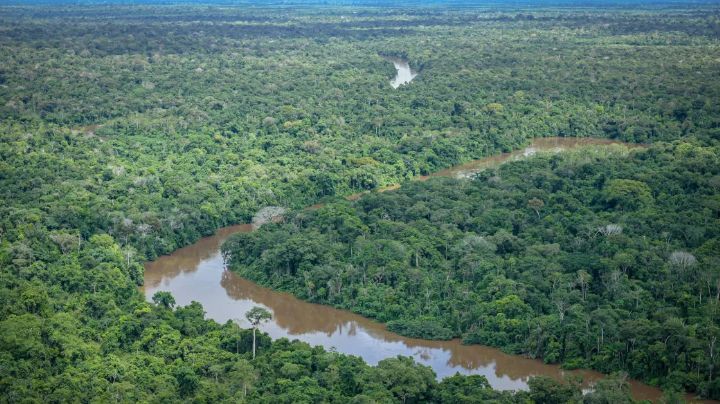 13% do território nacional, Terras Indígenas abrigam 8 em cada 10 das espécies ameaçadas