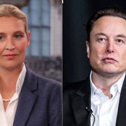 "Hitler era comunista": como Elon Musk tenta 'normalizar' líder da extrema direita na Alemanha