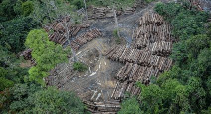 Agronegócio é o setor que mais perde dinheiro com eventos extremos na Amazônia