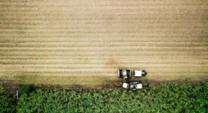 Pesquisadores descobrem enzima revolucionária para produção de biocombustíveis