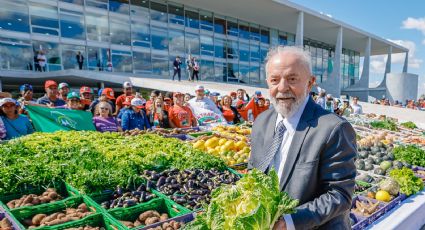 Pesquisa Quaest: preço dos alimentos influencia queda de popularidade de Lula