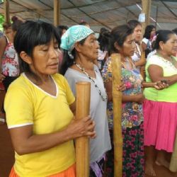 Indígenas Avá-Guarani assinam acordo para compra de terras, mas decisão é insuficiente