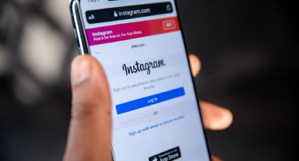 Vídeos violentos no Instagram geram revolta; "Não podemos aceitar", diz Gleisi