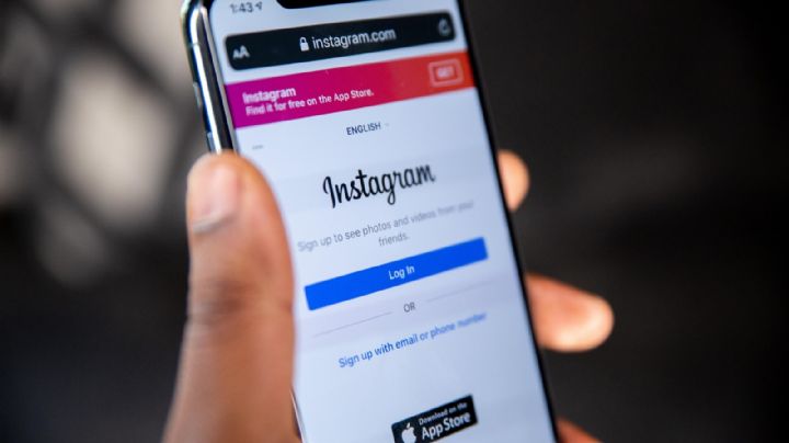 Vídeos violentos no Instagram geram revolta; "Não podemos aceitar", diz Gleisi