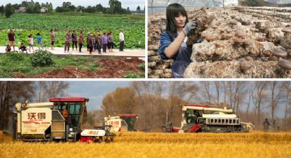 China aposta em revolução rural: o plano para transformar vilarejos e combater desigualdades