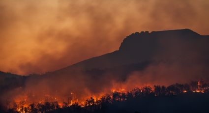 Nordeste do Japão é devastado por pior incêndio florestal em mais de 30 anos