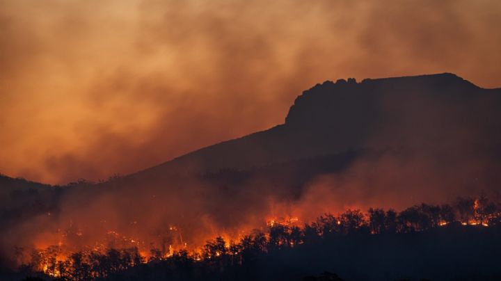 Nordeste do Japão é devastado por pior incêndio florestal em mais de 30 anos