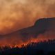 Nordeste do Japão é devastado por pior incêndio florestal em mais de 30 anos