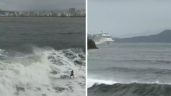 Foto ilustrativa de la nota titulada: VÍDEO: É Nazaré? Onda gigante e perigosa surpreende surfistas em praia do litoral de SP