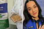 Foto ilustrativa de la nota titulada: Embrapa envia sementes de batata doce e grão de bico ao espaço com Katy Perry; entenda