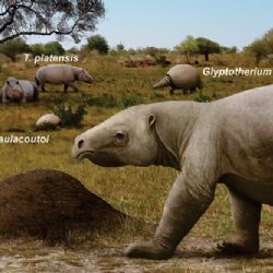 Pesquisa revela interações complexas de humanos com megafauna brasileira durante o Pleistoceno