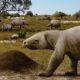 Pesquisa revela interações complexas de humanos com megafauna brasileira durante o Pleistoceno