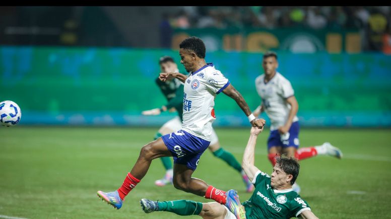 Palmeiras, em casa, perde jogo e liderança